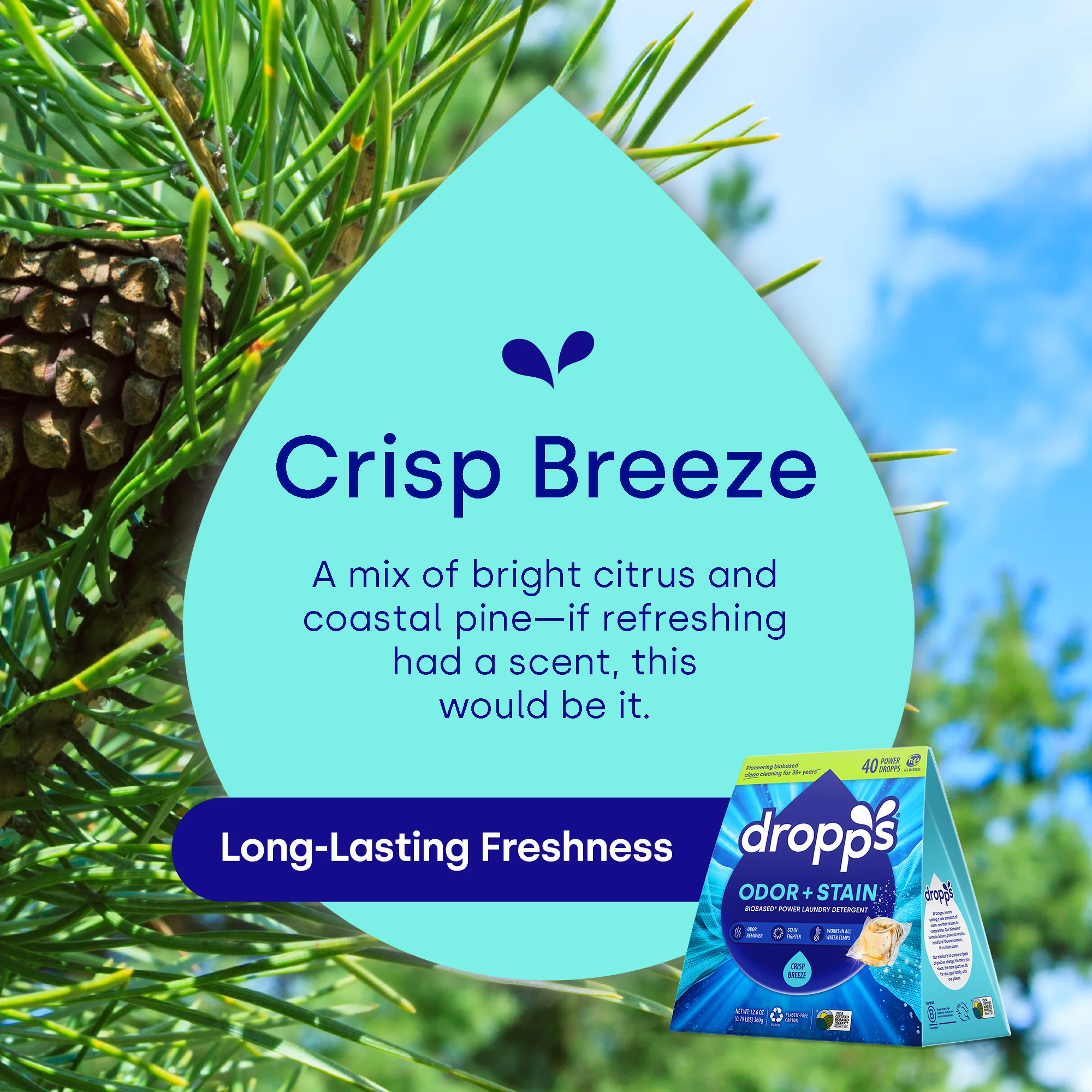 Everyday Essentials Discovery Duo, Crisp Breeze - Image 5