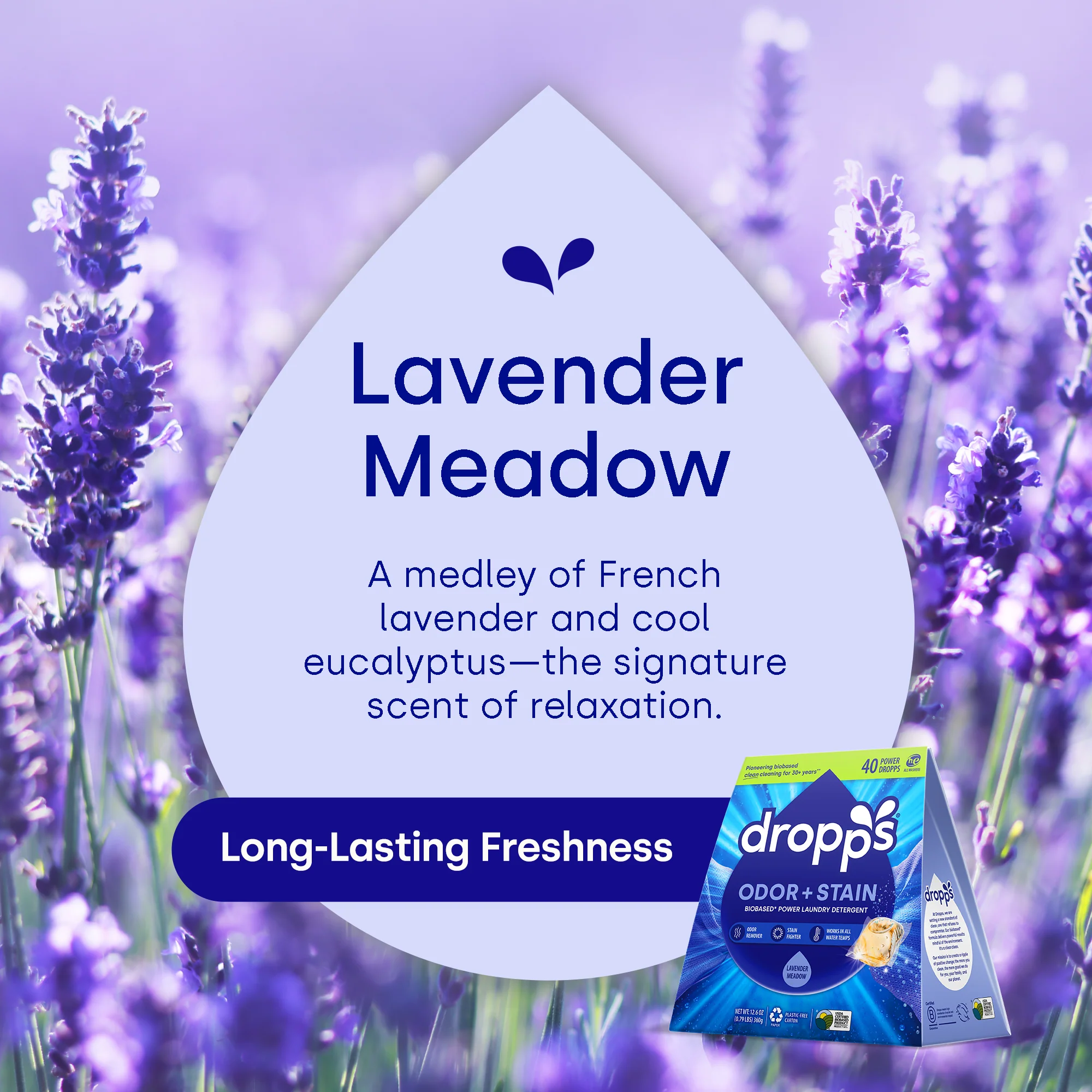 Everyday Essentials Discovery Duo, Lavender Meadow - Image 5